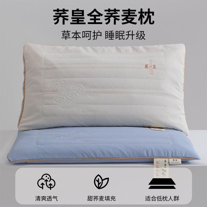 2024新款全荞麦枕绗缝工艺精美刺绣枕头枕芯甜荞麦壳填充