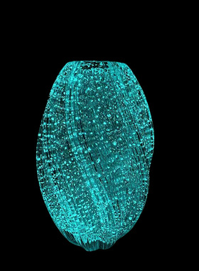 与花同行 |轻奢简约夜光玻璃花瓶摆件水养鲜切花玫瑰百合风