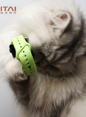 ITAI以太[火花绿]夜光iWatch苹果氟橡胶表带applewatchUltra3适用