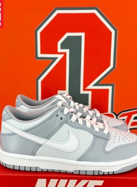 NIKE Dunk Low 耐克男女大童款百搭休闲板鞋CW1590-DH9765-FJ4641