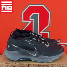 NIKE PEGASUS TRAIL 5 GTX耐克男款户外徒步跑步鞋FQ0908-104-001