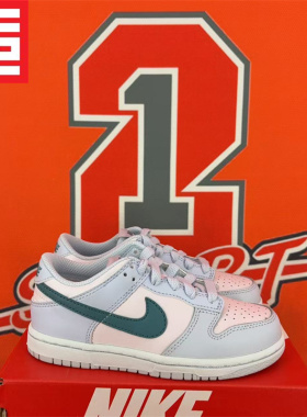 NIKE耐克Dunk Low 儿童舒适休闲鞋DV1987-FD1228-DH9756-DQ6216