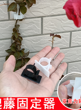 爬藤月季固定器园艺花墙藤蔓蔷薇上墙牵引自粘胶卡扣夹亚克力粘胶