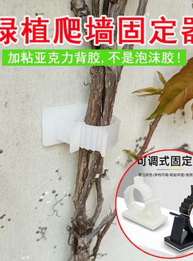 绿植爬墙固定器墙上牵引辅助花枝造型粘胶卡扣夹户外墙钉上墙神器