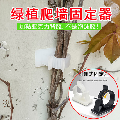 绿植爬墙固定器墙上牵引造型卡夹