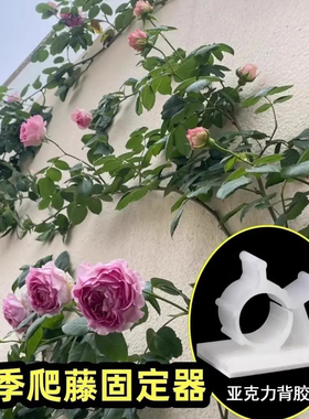 爬藤固定器月季蔷薇牵引夹卡扣绿植爬墙贴扣室内外花枝藤蔓固定夹