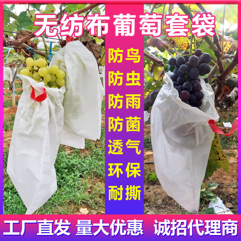 防水虫鸟透气抗菌梨柚水专用无纺布葡萄套袋苹果脐橙柿子自带扎丝