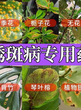 花卉铁锈病斑点病专用药