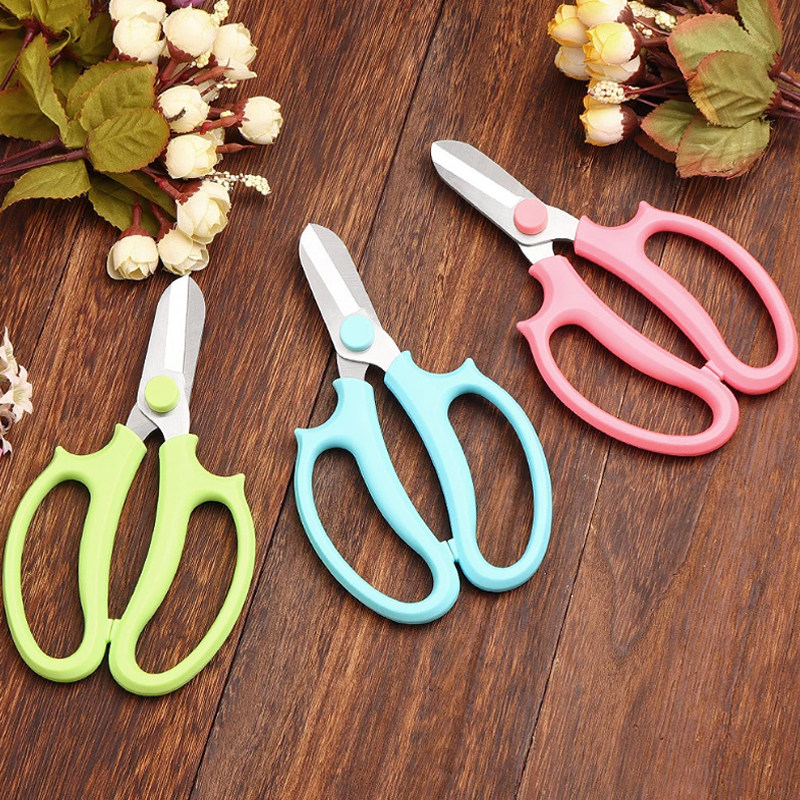 花伯乐园艺剪刀果树修枝花园花艺家用插花修枝剪花艺花卉修花工具,鲜花速递/花卉仿真/绿植园艺,剪刀,淘宝优惠券,粉丝福利购,淘宝优惠卷