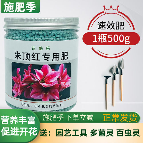 朱顶红催花促生长专用肥料营养液