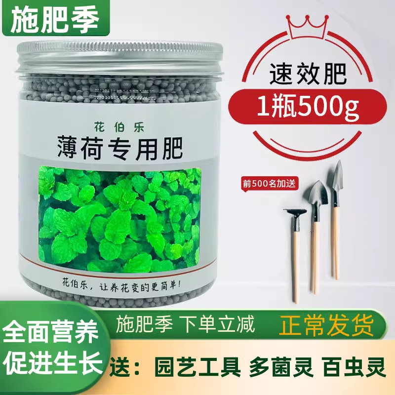 花伯乐薄荷专用肥柠檬香水薄荷肥料留兰香猫薄荷营养液薄荷复合肥