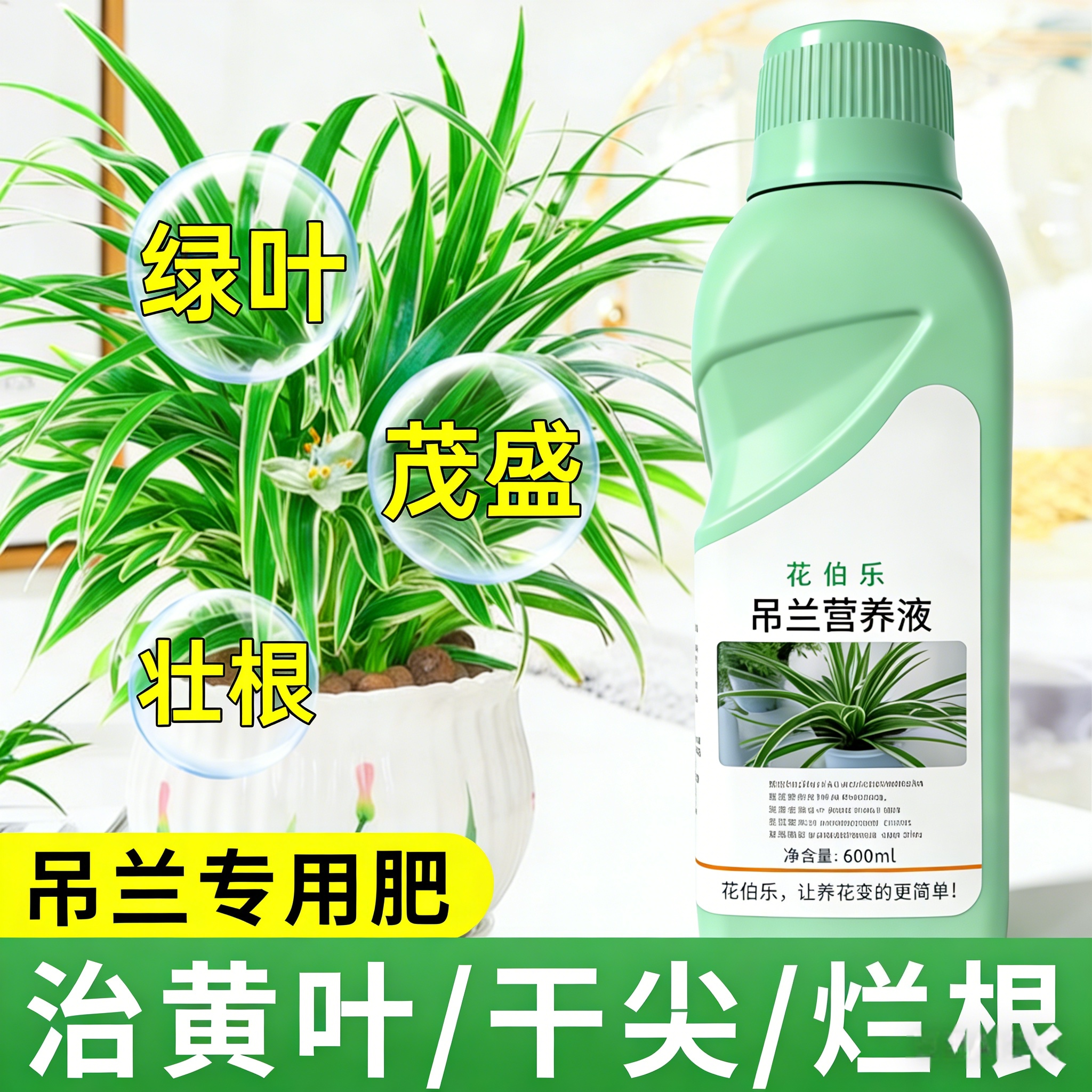 吊兰专用水溶营养液黄叶焦尖