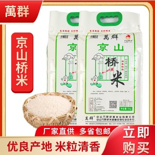 新米湖北京山特产537新稻谷10斤万群桥米