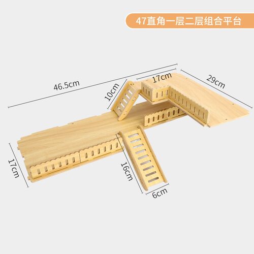 仓鼠平台安迪优美舒适运动