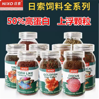 日索热带鱼原生鱼小型鱼发色好