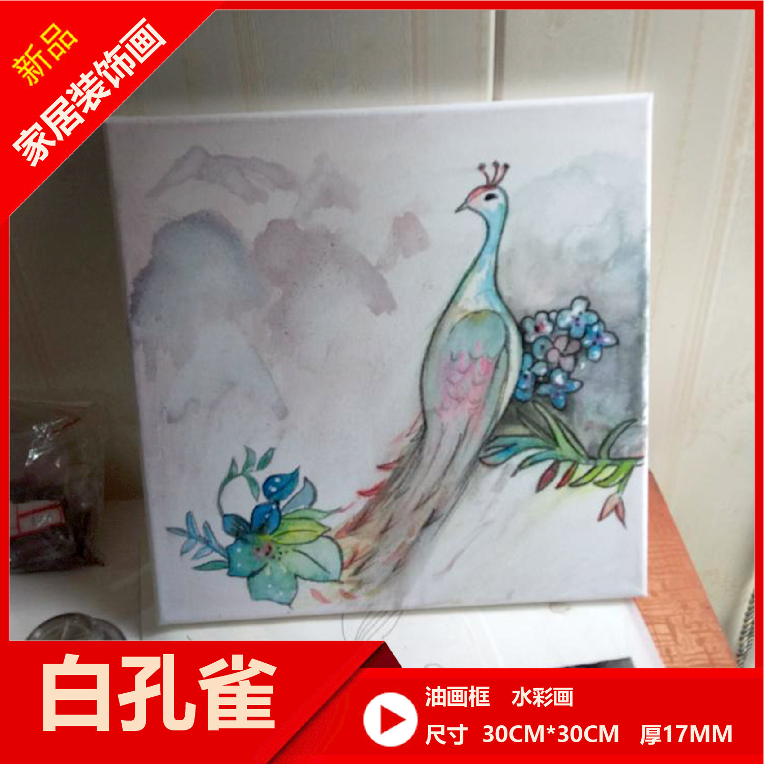 海洋香 插画水彩画 白孔雀 水彩 插图 立体可爱 装饰画