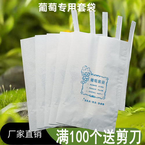 葡萄袋子果袋专用防虫袋露天葡萄套袋套袋防水套葡萄用纸育果袋套
