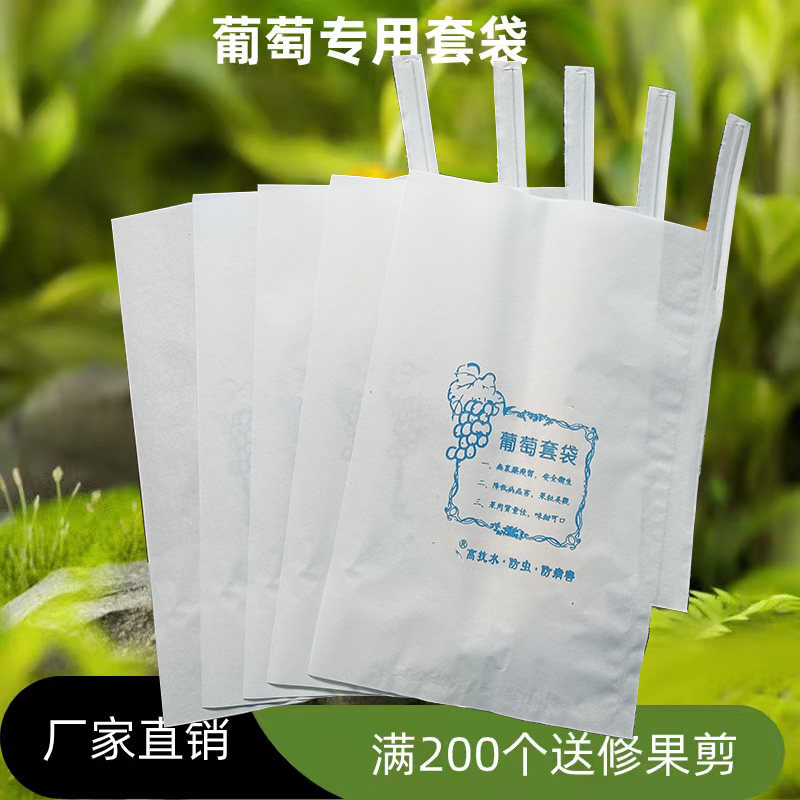 葡萄袋子果袋专用防虫袋露天葡萄水果套袋/果袋