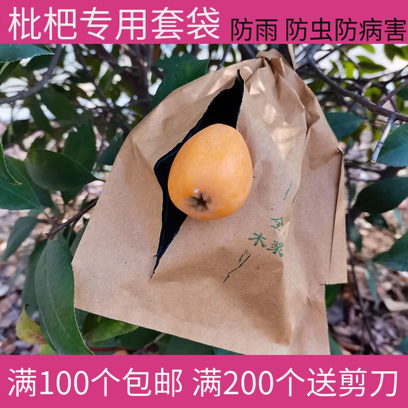 枇杷专用套袋防雨袋子防虫鸟芒果套袋芒果袋子果袋水果套袋果袋子图片