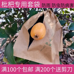 枇杷专用套袋防雨袋子防虫鸟芒果套袋芒果袋子果袋水果套袋果袋子