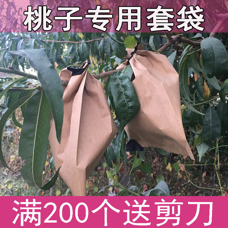 桃子专用套袋水蜜桃套袋黄桃袋桃子纸袋蟠桃袋子冬桃套袋桃子套袋