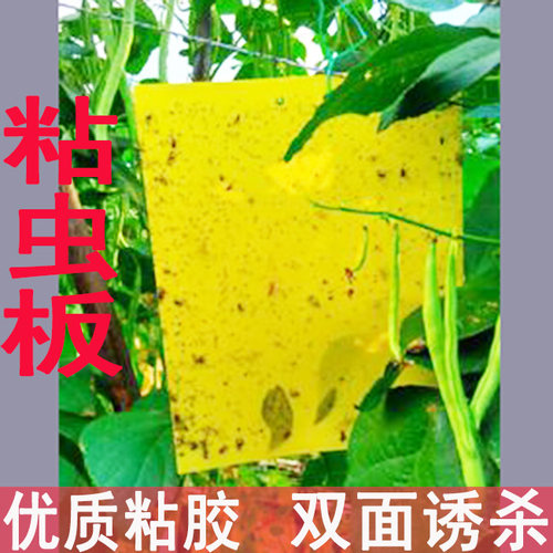 粘虫板黄板双面pvc捕虫板诱虫板捉虫板杀蚜虫粉虱小飞虫黑飞防水 - 封面