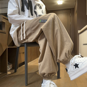 2025春装新款立体剪裁男士休闲裤时尚贴标灯芯绒束脚裤 K6697-P45，男装休闲裤，电商A006