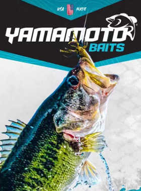 YAMAMOTO 3寸4寸SENKO高比重面条虫软饵德州Wacky路亚软饵美版
