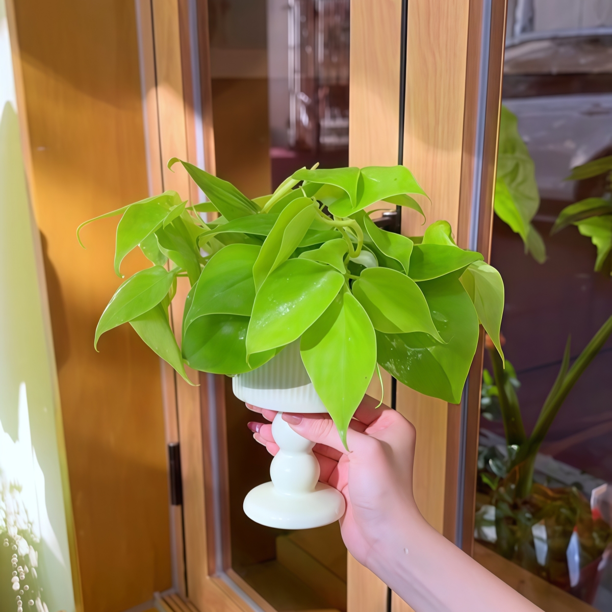 北欧ins客餐厅绿植柠檬汁蔓绿绒