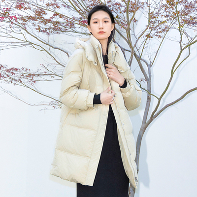 oldcolour3267776oldcol