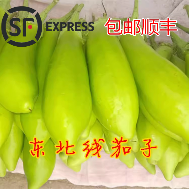 东北农家自种绿茄子蔬菜绿皮茄子新鲜青皮生吃茄子线茄子5斤装