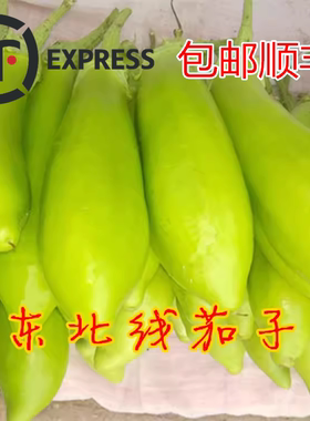 东北农家自种绿茄子蔬菜新鲜