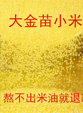 农家小米 大金苗小米   米 杂粮2500克