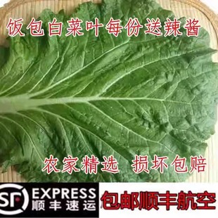 东北新鲜大白菜叶蘸酱菜白菜叶打饭包菜叶打菜包饭包白菜叶子顺丰