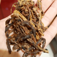 遼參大連海參腸買3送1包郵