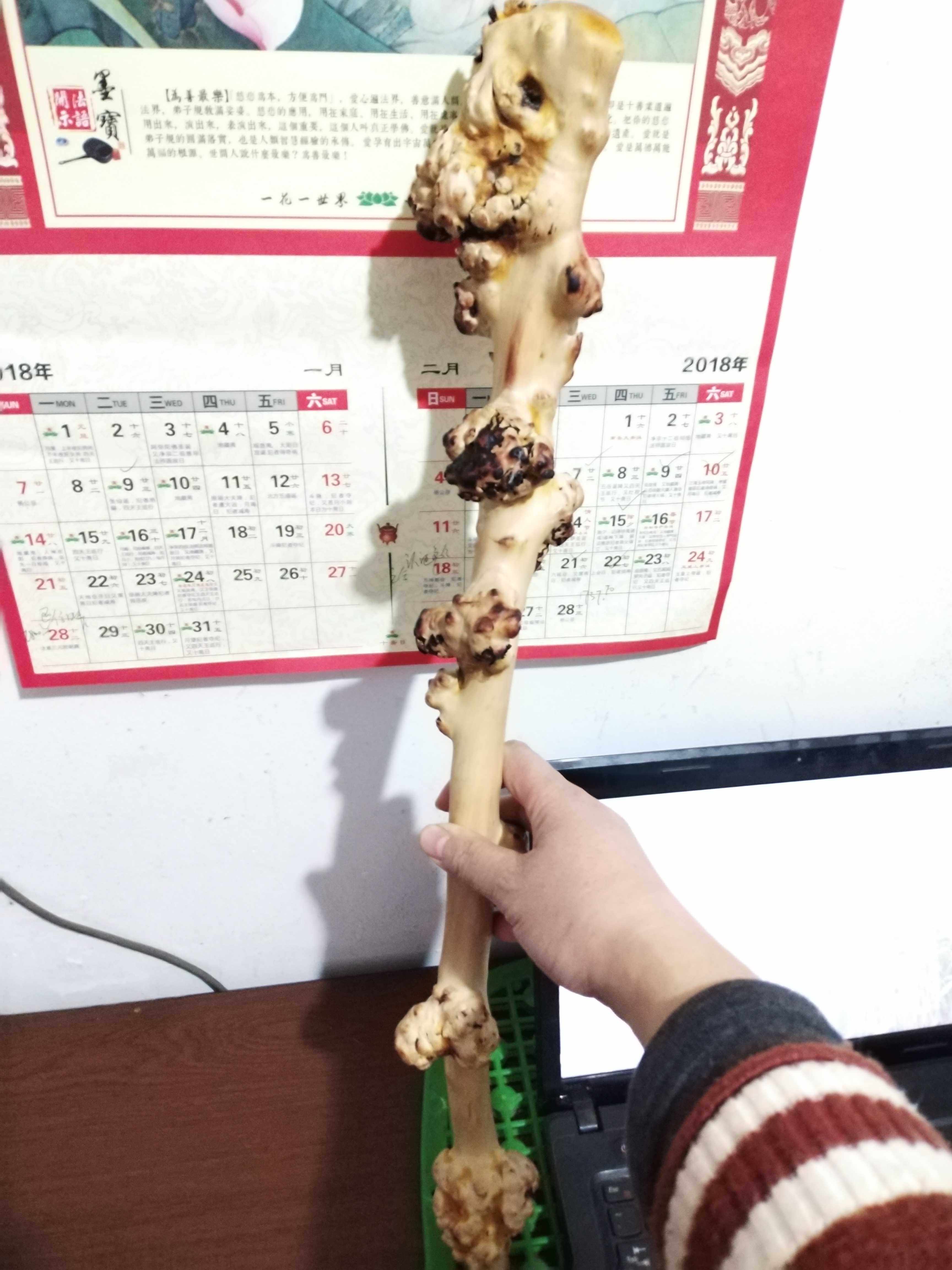 木头疙瘩艺术品味一树梅花漂亮的木疙瘩文玩艺术品收藏品摆件树根