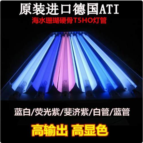 德国ATI海水珊瑚T5HO海水灯管蓝