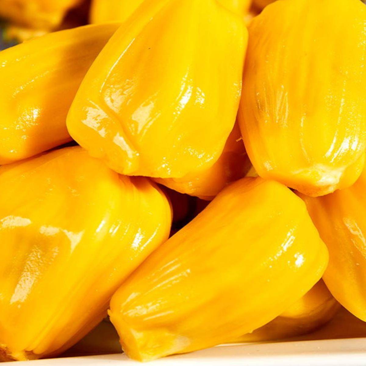 海南菠萝蜜新鲜水果黄肉一整个包邮木菠萝当季非红肉