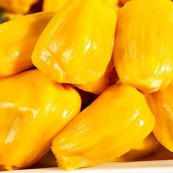 海南菠萝蜜新鲜水果黄肉一整个包邮木菠萝当季非红肉