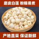 精选莲子磨皮去芯无心正宗白连子新鲜干货500g