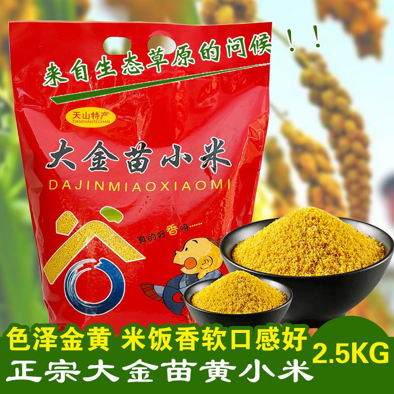2024年新米内蒙古小米农家黄小米吃的米食用粥赤峰产品月子米5斤