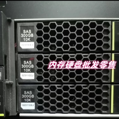 02311EEJ300G10KSAS6Gb