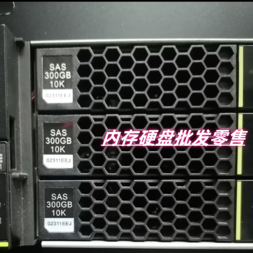 02311EEJ300G10KSAS6Gb