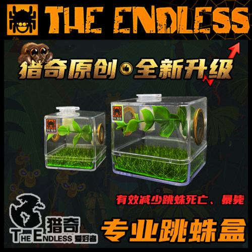 跳蛛饲养盒亚克力盒鸣虫蜘蛛螳螂