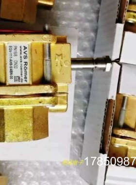 议价AVS-ROMER EGV-111-B96-3/4BP-00电磁阀EGV-121-C78-3/4BN-00