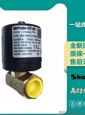 非实价议价议价拍前询价:现货E6G*SR8*3/8 GMO原装BRAHAM巴拿马燃