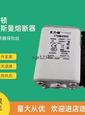 非实价议价议价全新快速熔断器保险170M4986 170M4987 170M4988 1