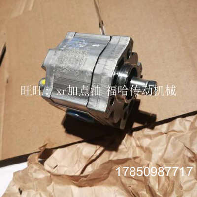 议价0510110002力士乐0510110017齿轮泵AZPB-10-2，0RCP2MB议价