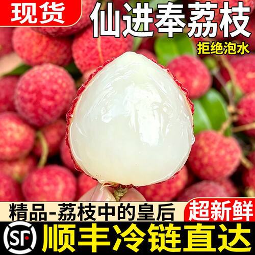 正宗仙进奉荔枝高端送礼精品整箱