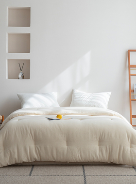 全棉双层纱棉麻被子秋冬单双人酒店民宿空调被纯棉春秋被家用被芯